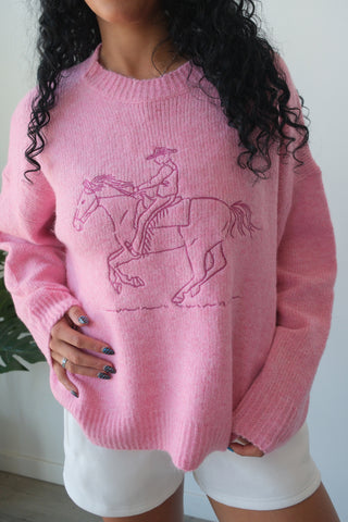 Pink Horse Sweater