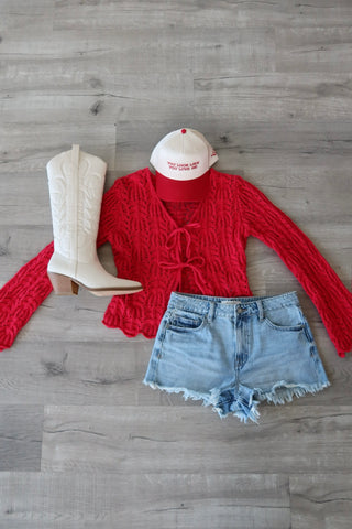 Hidden Finn Light Denim High Rise Shorts