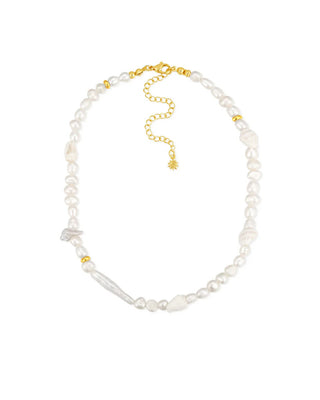 Cult Of Sun Clio Shell And Pearl Necklace