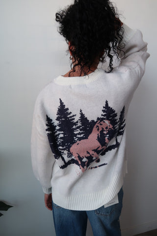 “Howdy” Horse Sweater