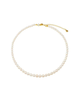Cult Of Sun Pearl Dreams Choker Necklace