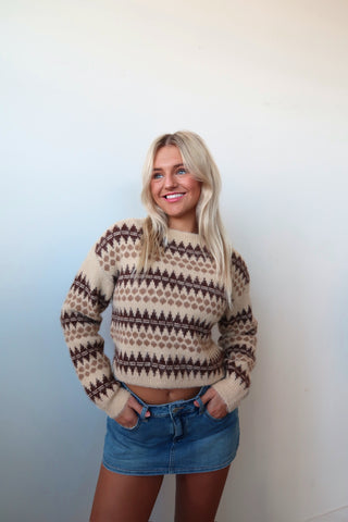 Brown & Tan Diamond Knit Sweater