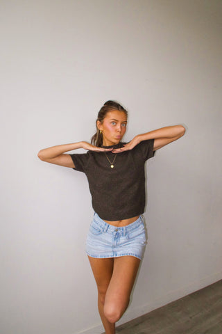 Short Sleeve Brown Sweater