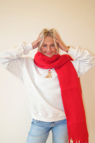 Red Cozy Scarf