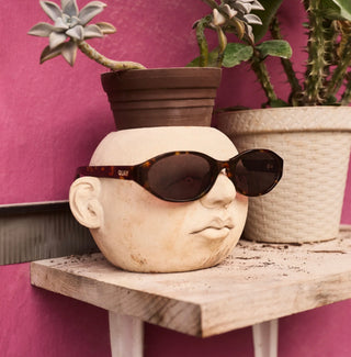 Quay Neutral Tort Frame/Brown Lens - Aura Points