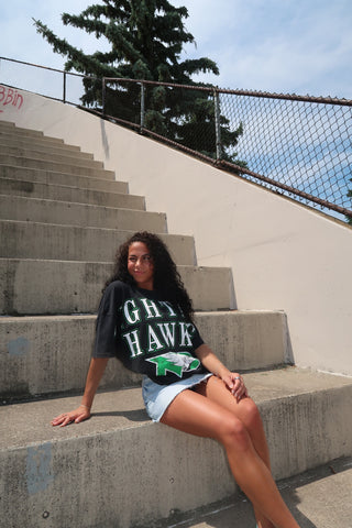 Fighting Hawks Tee Shirt