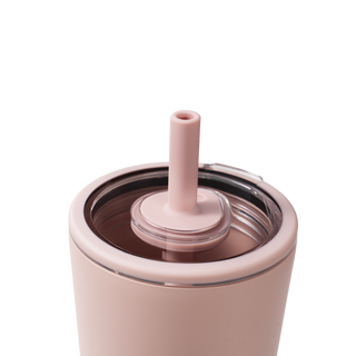 Dusty Rose HydroJug 20oz Everyday Tumbler