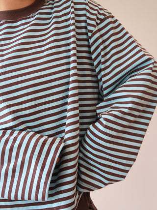 Blue & Brown Striped Long Sleeve