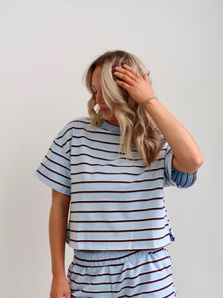 Blue/Brown Striped Short Sleeve Top