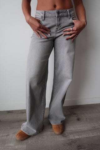 Hidden Nori Light Grey Jeans